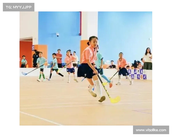 残疾运动员曲棍球表演赛精彩上演 展现勇气与拼搏精神