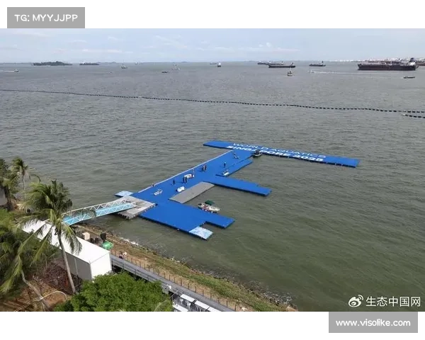 世界泳联新规发布要求公开水域赛事大肠杆菌含量低于100CFU每毫升确保水质安全